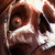 :iconsixfrid:
