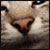 :iconsixtynineyarasa: