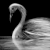 :iconsixtypenny:
