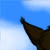 :iconsj-1: