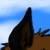 :iconsj-3: