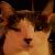 :iconsjbl: