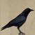 :iconsjh-letitbe: