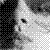 :iconsjiraffa: