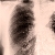 :iconsjoeloeve: