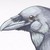 :iconsk-avenger: