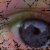 :iconsk8rgrl991: