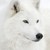 :iconsk8tergirl1614: