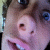 :iconskaapkop: