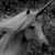 :iconskadi-wolf:
