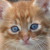 :iconskadi013: