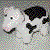 :iconskait: