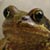 :iconskalminen: