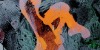 :iconskaparo: