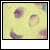 :iconskatie92: