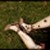 :iconskatofily: