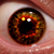 :iconskeezoyd: