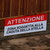 :iconskeggia80: