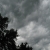 :iconskeletal-photography:
