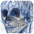 :iconskeletalbird: