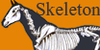 :iconskeletonhorses:
