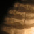 :iconskeletontoes1: