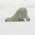 :iconskelifish: