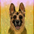 :iconskelight-studios: