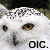 :iconskempel: