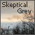 :iconskepticalgrey: