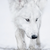 :iconskerbot: