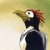 :iconsketchteno: