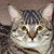 :iconsketchyremi: