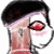 :iconskichiplz-1: