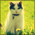 :iconskies-princess: