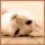 :iconskillets: