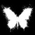 :iconskim-x-cat: