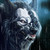 :iconskin-canvass: