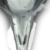 :iconskinnyfeet: