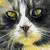 :iconskinnylittleschizo: