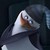 :iconskipperlova101: