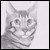 :iconskiptablet: