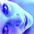 :iconskipthehello: