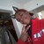 :iconskitch0616: