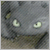 :iconskitchheart94: