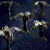 :iconskitfire: