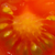 :iconskittering: