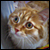 :iconskittish-sister: