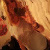:iconskittlemasterftw: