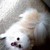 :iconskittles58: